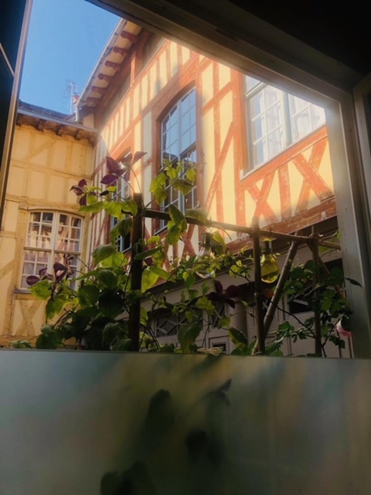 Atelier Des Glycines, Troyes Bouchon De Champagne, Sublime Site Patrimonial Apartment Exterior photo